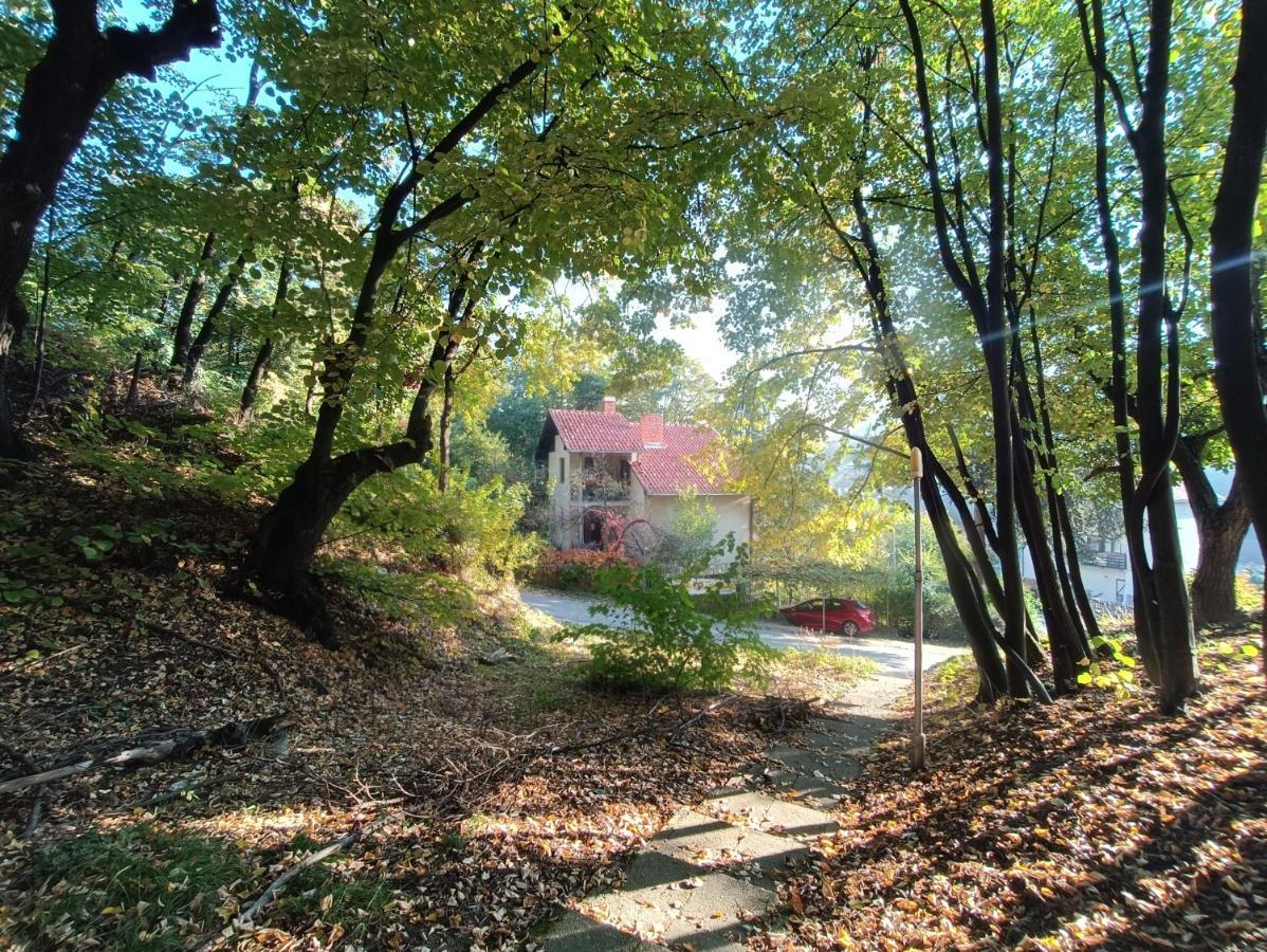 Nena & Rale Rooms Donji Milanovac Dış mekan fotoğraf