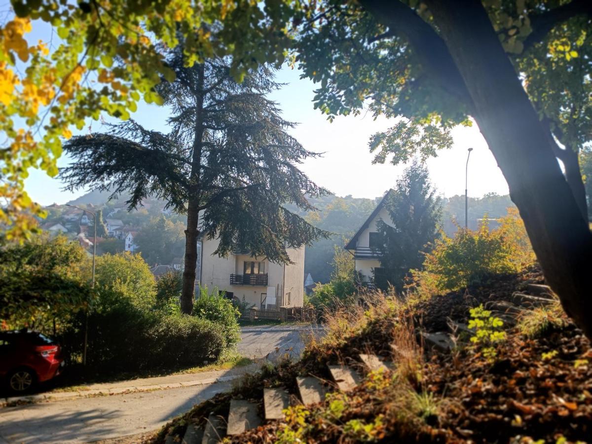 Nena & Rale Rooms Donji Milanovac Dış mekan fotoğraf