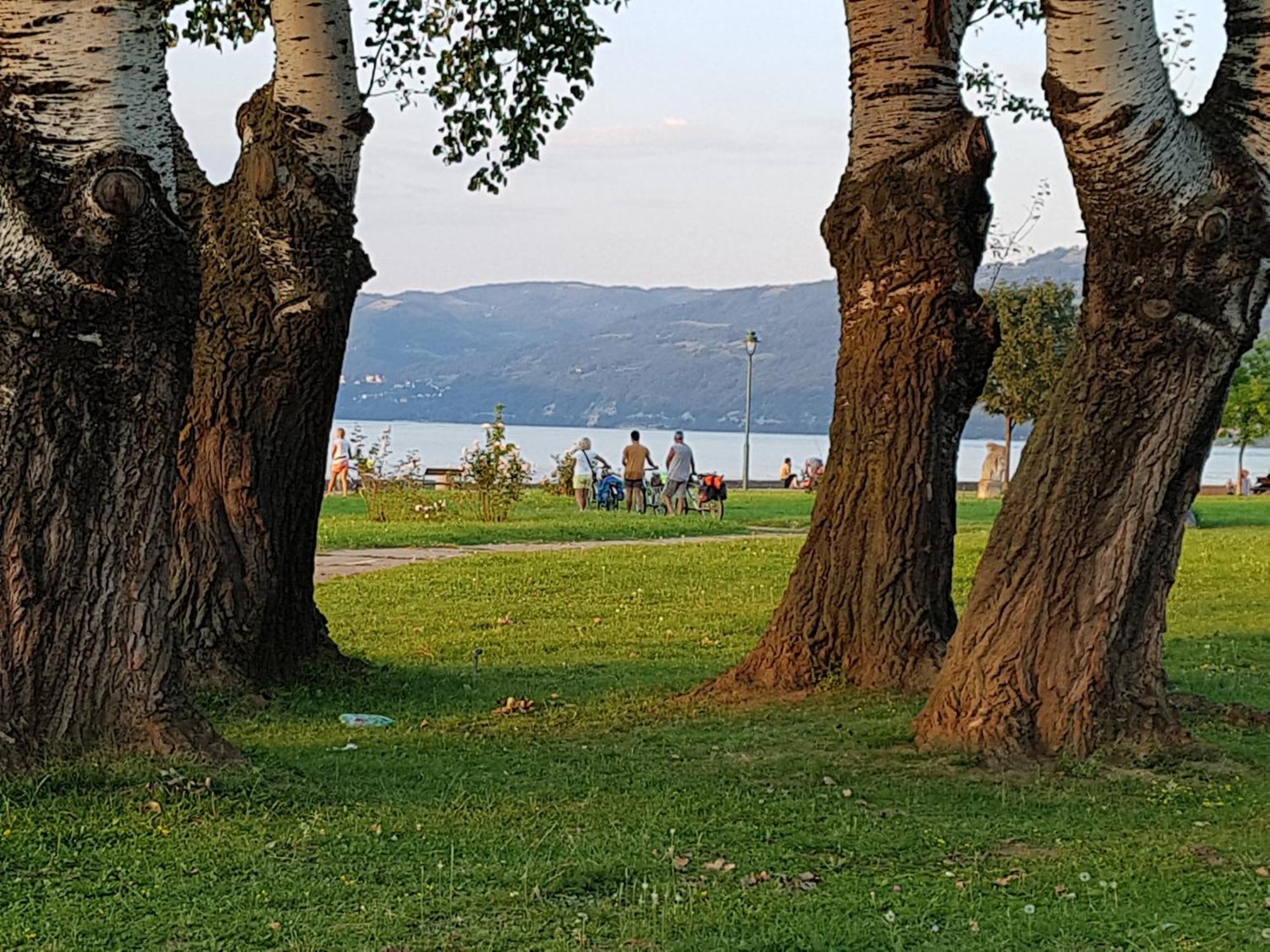 Nena & Rale Rooms Donji Milanovac Dış mekan fotoğraf