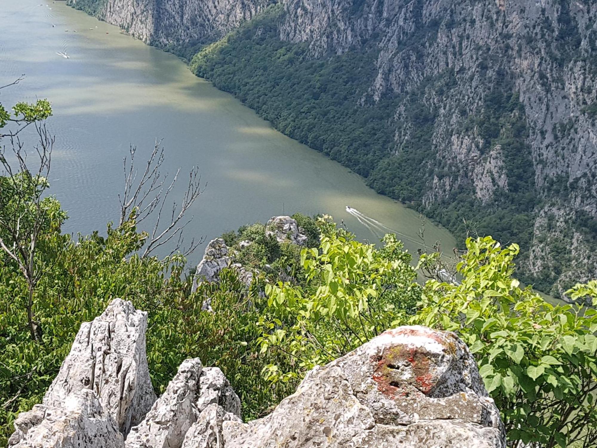 Nena & Rale Rooms Donji Milanovac Dış mekan fotoğraf