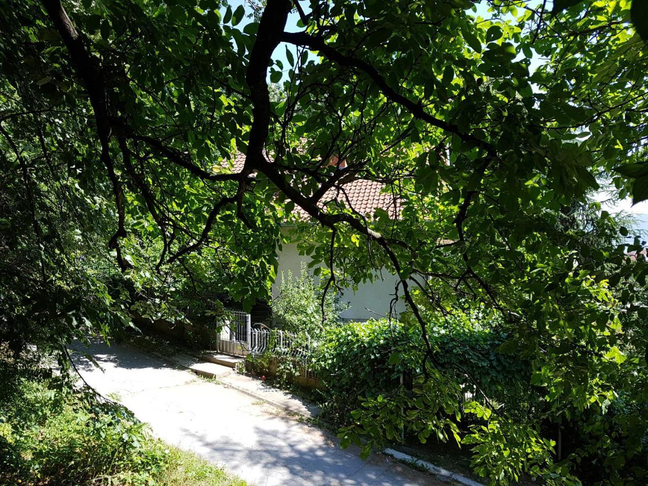 Nena & Rale Rooms Donji Milanovac Dış mekan fotoğraf