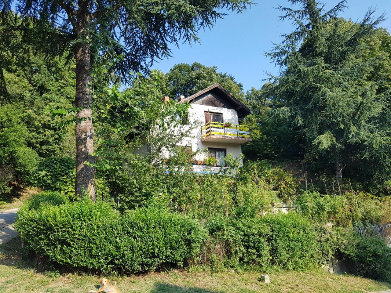 Nena & Rale Rooms Donji Milanovac Dış mekan fotoğraf