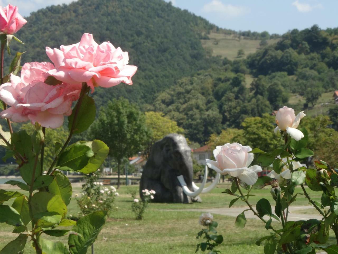 Nena & Rale Rooms Donji Milanovac Dış mekan fotoğraf